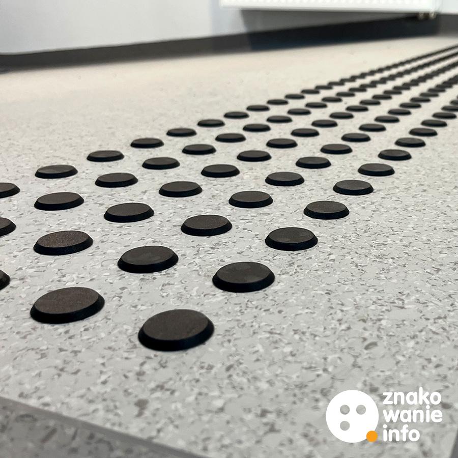 ŚCIEŻKI SENSORYCZNE W SYSTEMIE FON ŚCIEŻKI SENSORYCZNE W SYSTEMIE FON